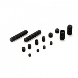 [TEAM LOSI] Set Screws, Assortment (14) �ƿ�� R8 ����