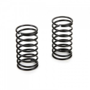 [TEAM LOSI] Spring, Medium (2): �ƿ�� R8 ������ ��
