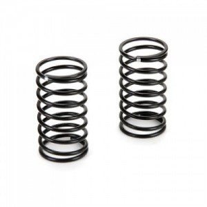 [TEAM LOSI] Spring, Medium (2): �ƿ�� R8 ������ ��