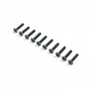 [TEAM LOSI] Flat Head Screws M3 x 14mm (10)