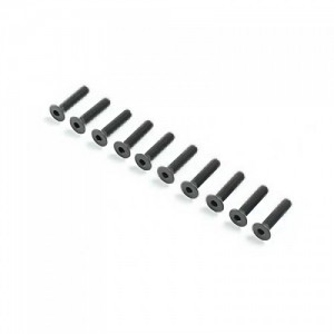 [TEAM LOSI] Flat Head Screws M3 x 14mm (10)