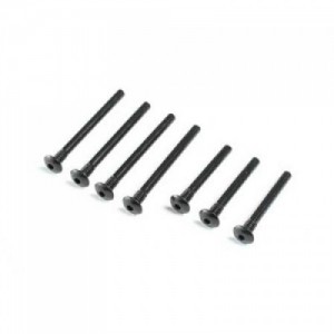 [TEAM LOSI] Inner Outer Hinge Pin Screw Set V100