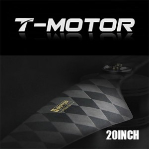 [T-MOTOR] NS20x6.2 �ʰ淮 ī�� �����緯