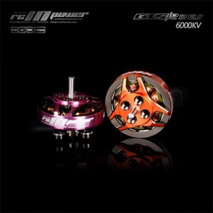 RCINPOWER GTS V2 1202.5 6000KV ���� (1pcs)