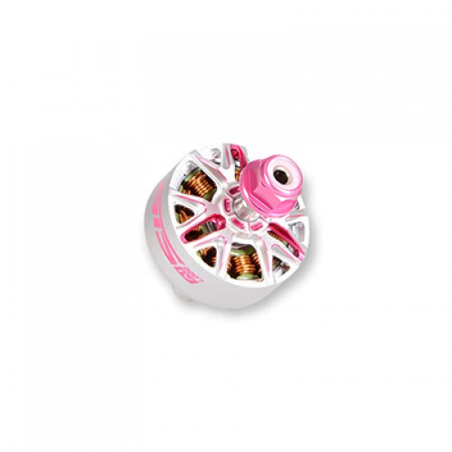 �˾���ũ  RCINPOWER GTS2207 V4 2040KV ���� (�ǹ�, 1pcs)