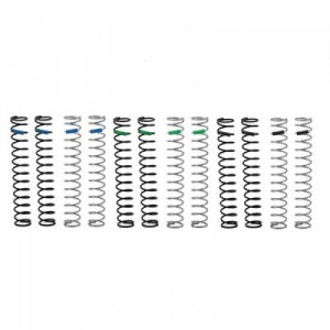 [TEAM LOSI] Front Fork Spring Set: Promoto-MX