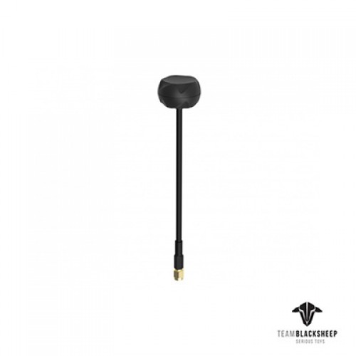 [�˾���ũ]  TBS Airscrew ���׳� (RHCP, SMA)