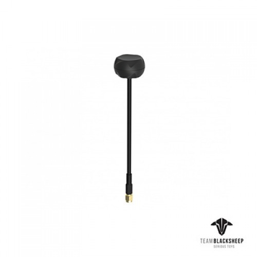 �˾���ũ  TBS Airscrew ���׳� (RHCP, SMA)