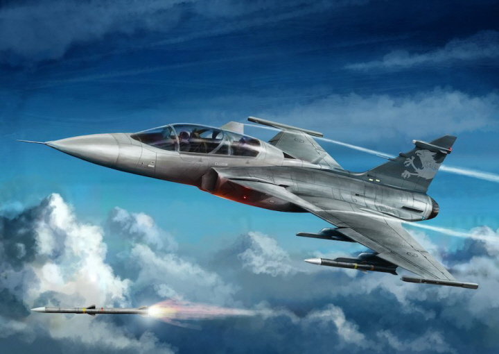 [�˾���ũ] CZKH80118 [kitty Hwak] CZKH80118 Jas-39B/D Gripen 1