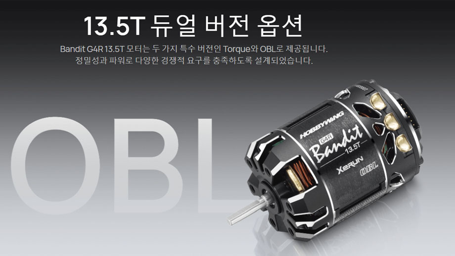 [�˾���ũ] 30401862 [HOBBYWING] XERUN BANDIT G4R 17.5T 5