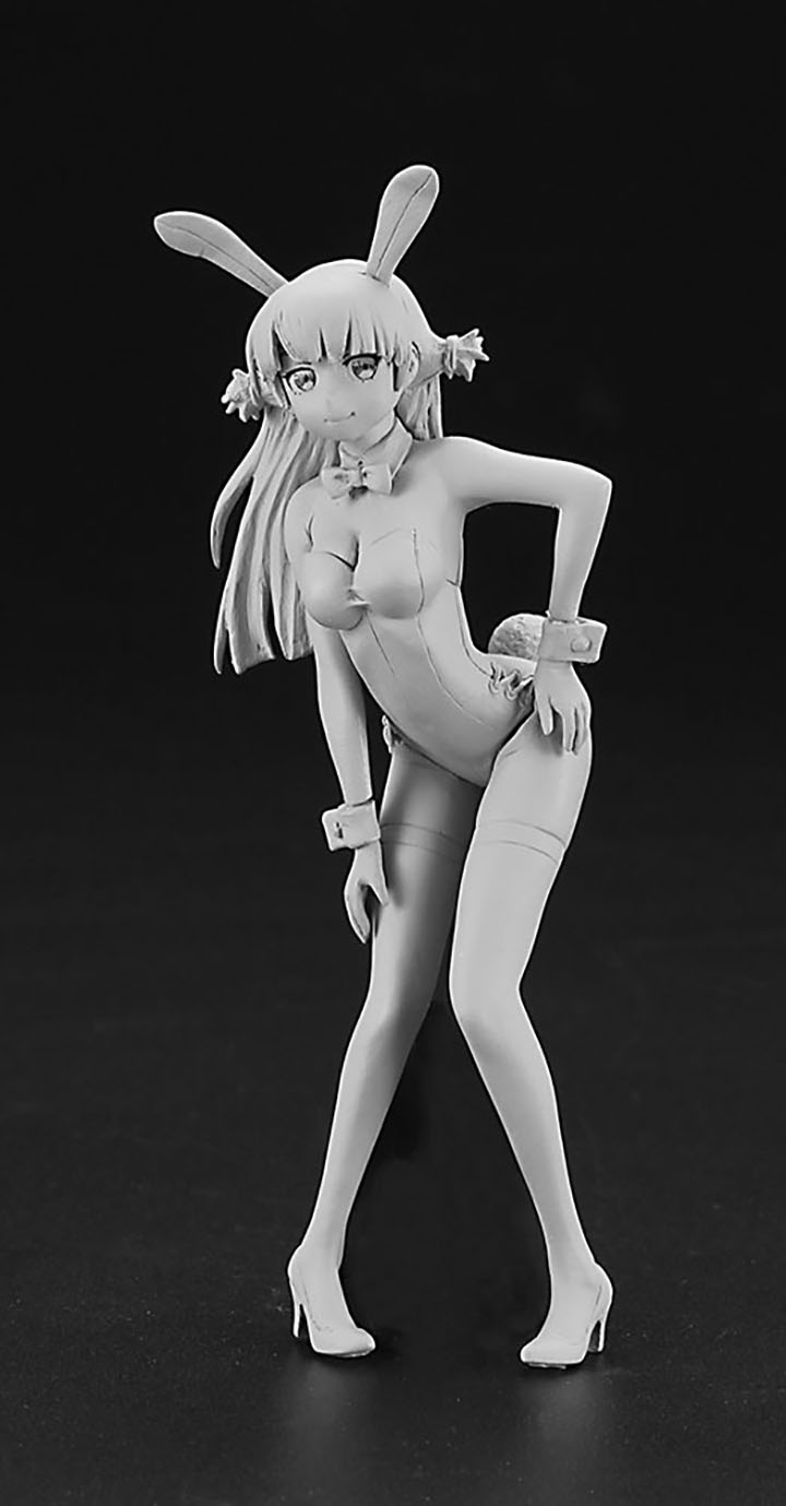 [�˾���ũ] BH52205 [Hasegawa] BH52205 Egg Girls Collection No.09 Claire Frost 6