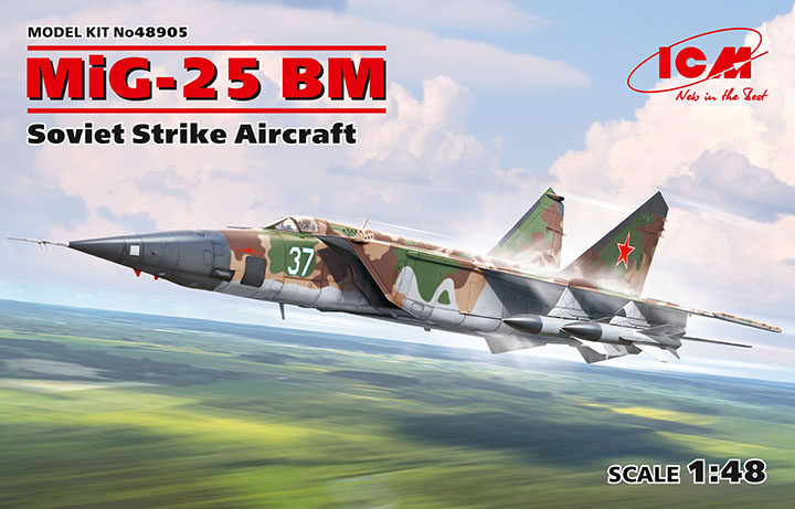 [�˾���ũ] BICM48905 [ICM] BICM48905 1/48 MiG-25BM Foxbat,Soviet Strike Aircraft 1