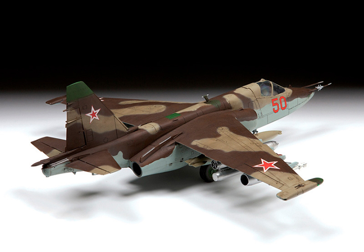[�˾���ũ] BZ4807 [Zvezda] BZ4807 1/48 SU-25 Frogfoot 2