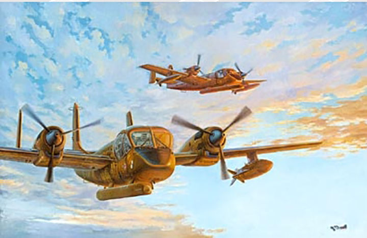 [�˾���ũ] BG-RD1071410 [RODEN] BG-RD1071410 1/48 OV-1B/OV-1C Mohawk 1