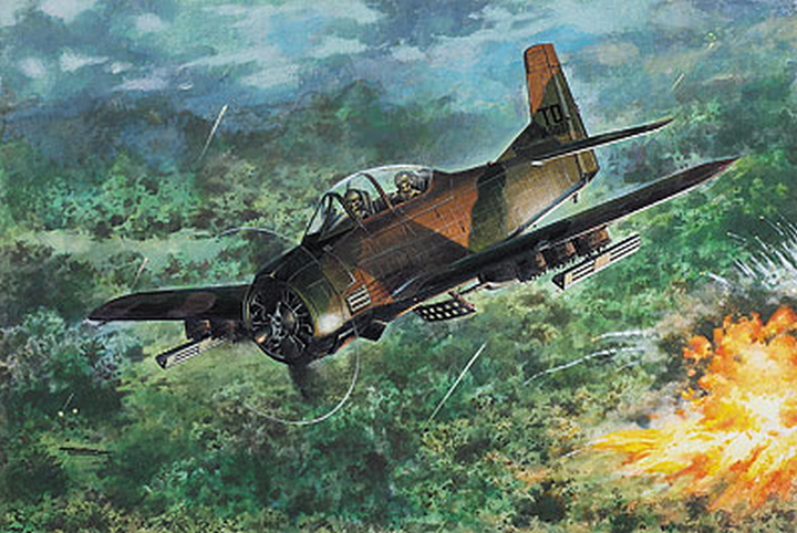 [�˾���ũ] BG-RD1070450 [RODEN] BG-RD1070450 1/48 North American T-28D Trojan 1